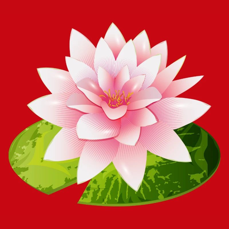 nénuphar brillant avec pétale de nénuphar vert
