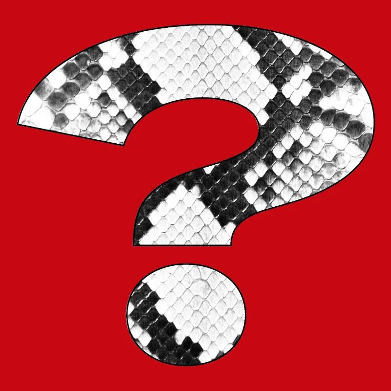 Snakeskin Pattern Question Mark Design