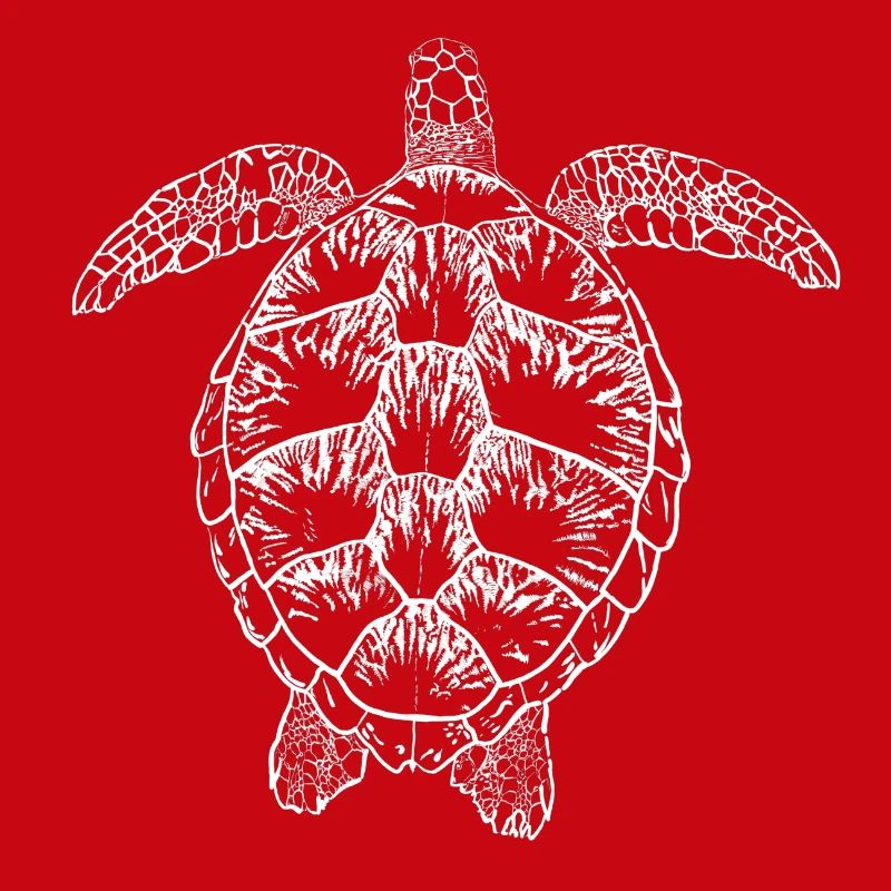 Turtle white2