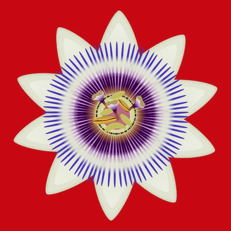 Kunstvolle Blüte einer Passionsblume
