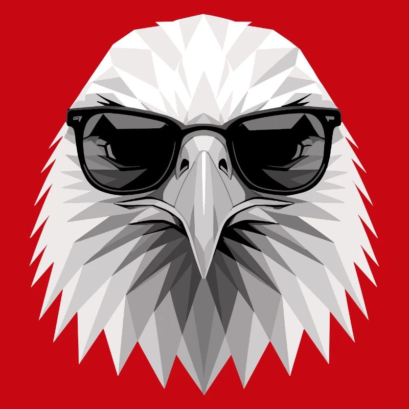 Eagle Bald Eagle Golden Eagle White-tailed Eagle