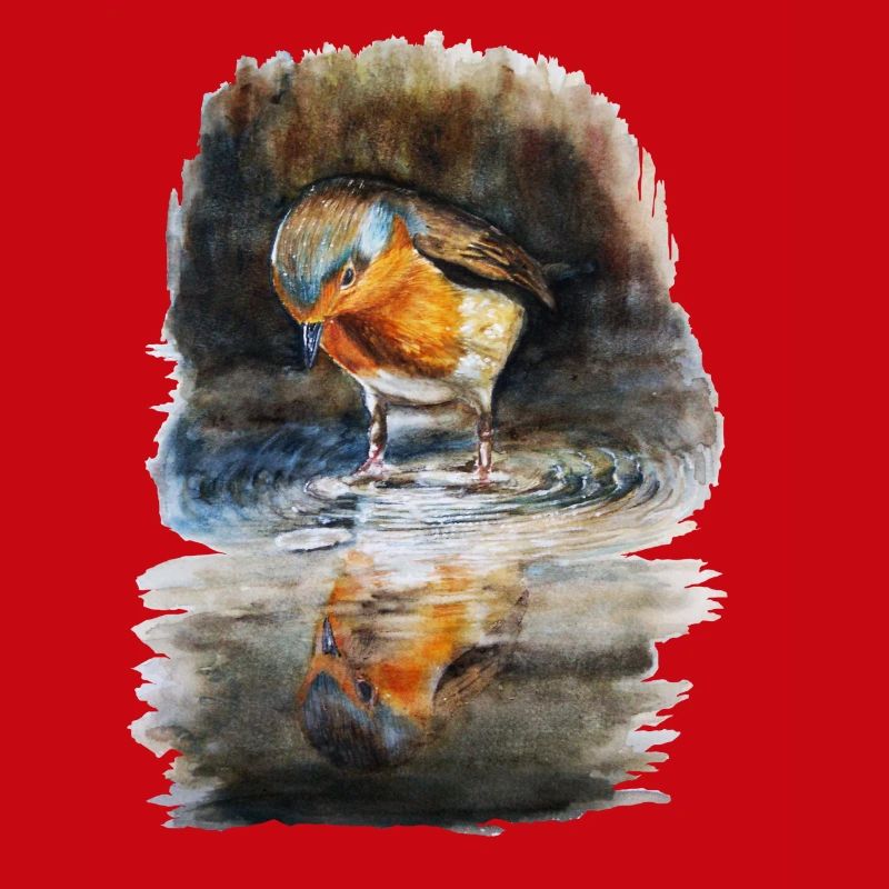 robin