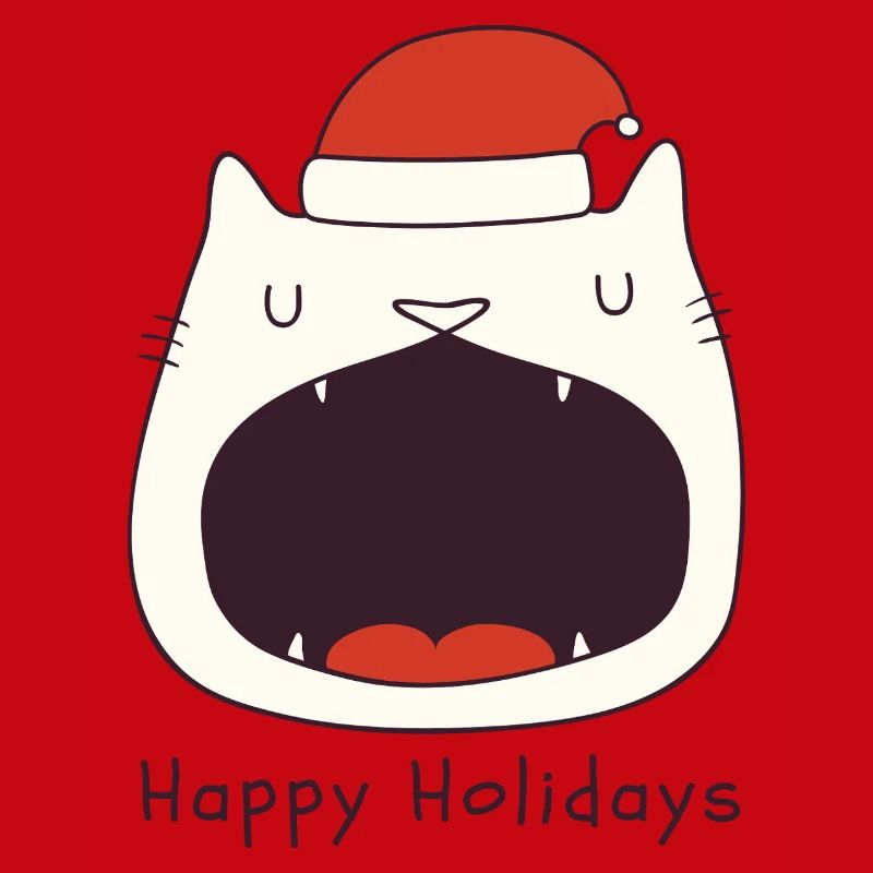 Drôle de chat de Noël
