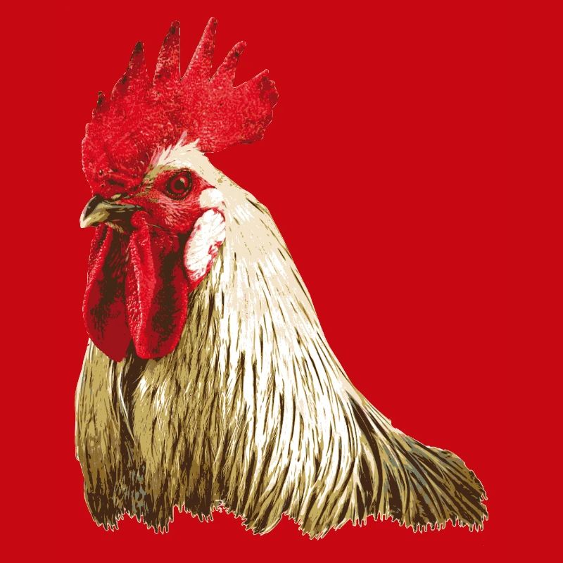 Fans de poulet - Coq - Coq - Poulet fleur - Bio