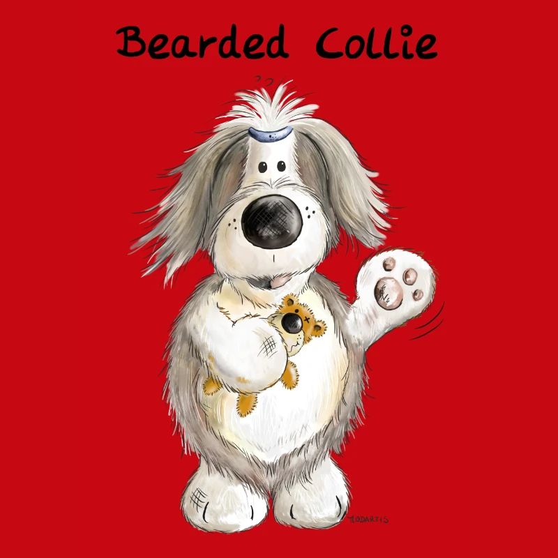 Bearded Collie mit Teddy