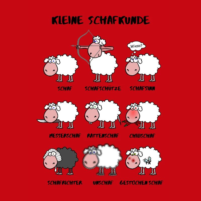 A little sheep knowledge