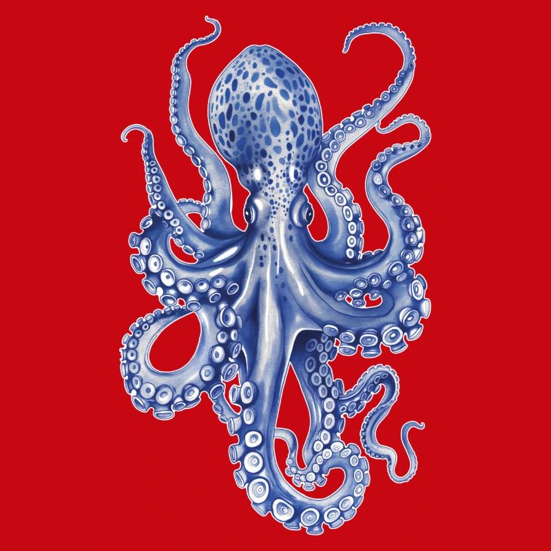 Octopus