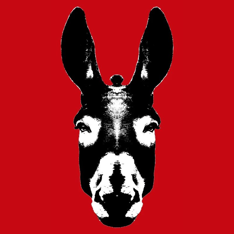 Donkey / Head