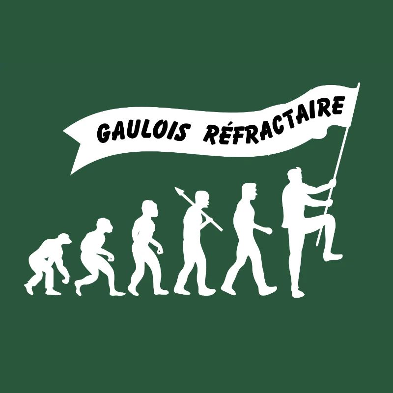 Evolution du gaulois réfractaire