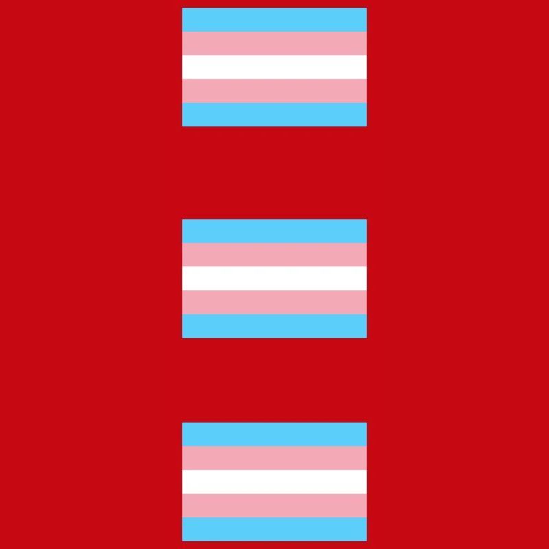 Trans Pride-Flaggen