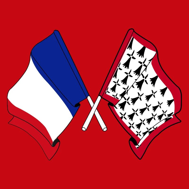 Limousin et drapeau français