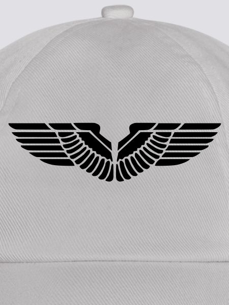 Flügel Vogel Wings
