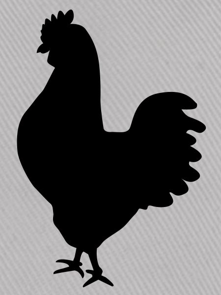 huhn_silhouette_f1