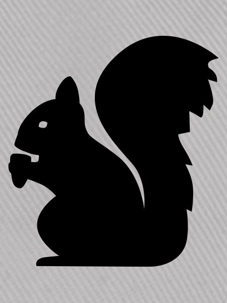 Eichhörnchen