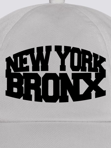 new york bronx