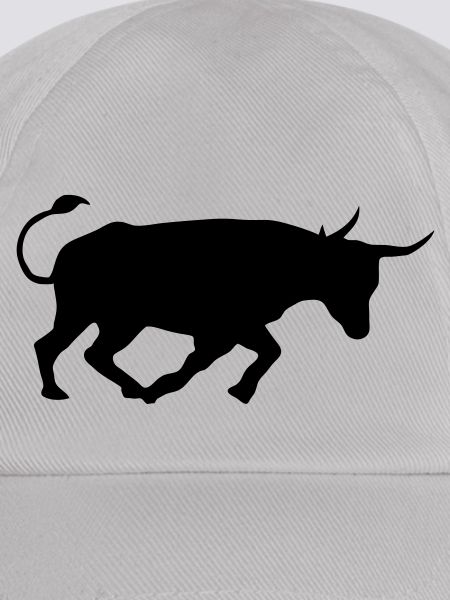kampfstier andalusien spanischer baskischer stier