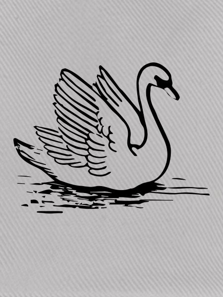 schwan