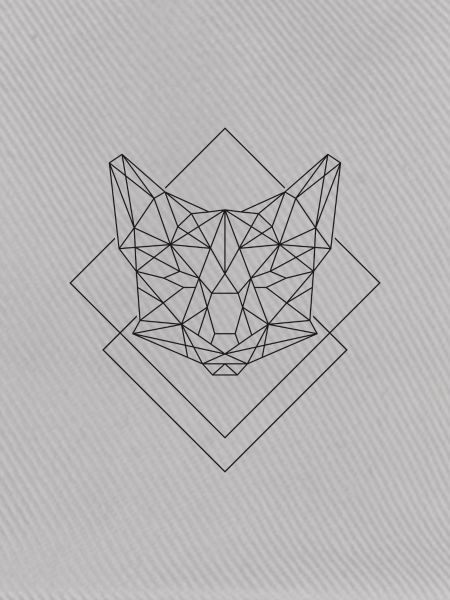 Polygon Fuchs
