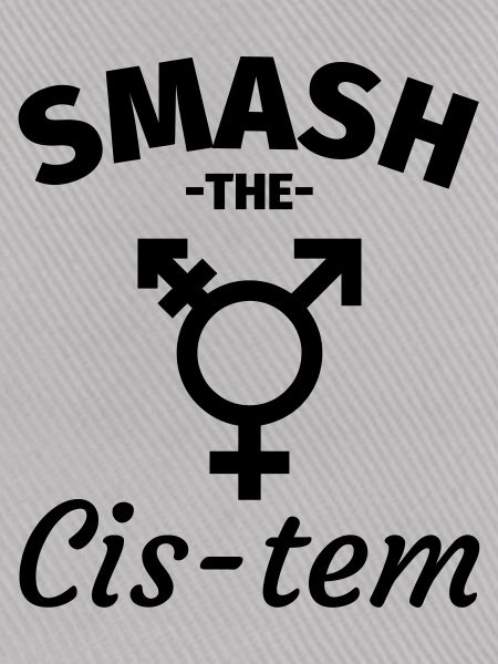 Transgender Feminismus
