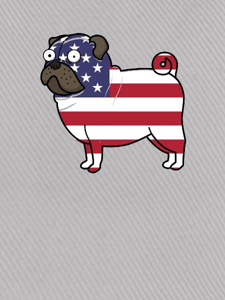 American Flag Pug