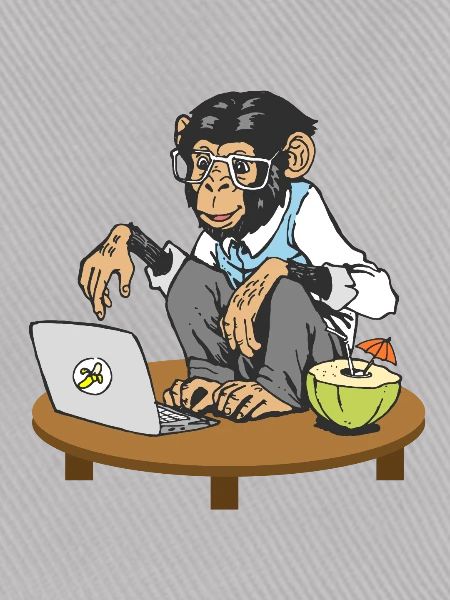 Affe vor Laptop