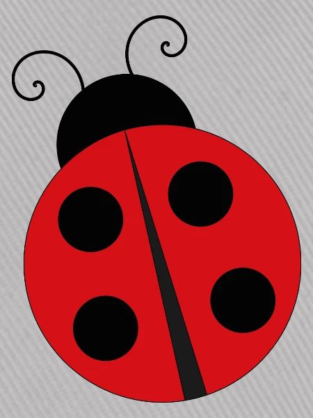 Marienkäfer Ladybug