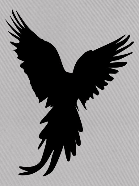 bird silhouette