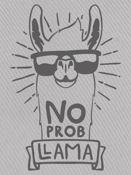 No Prob Llama