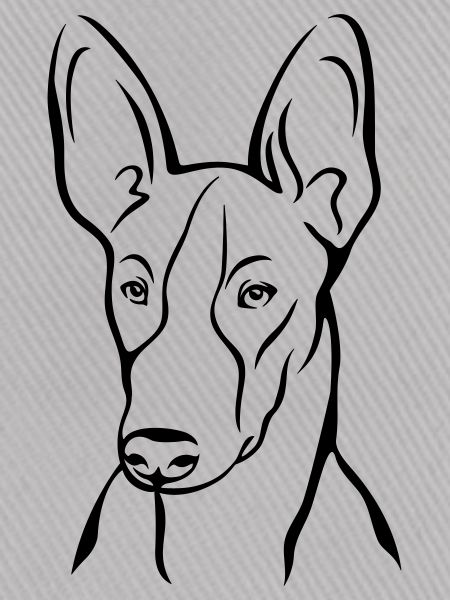 Podenco