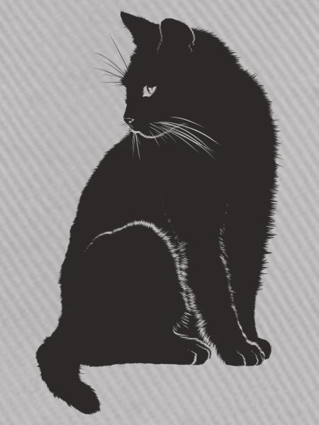 Miezekatze