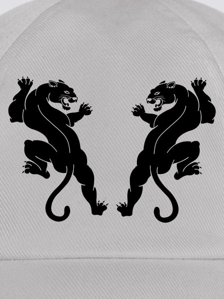 black panthers