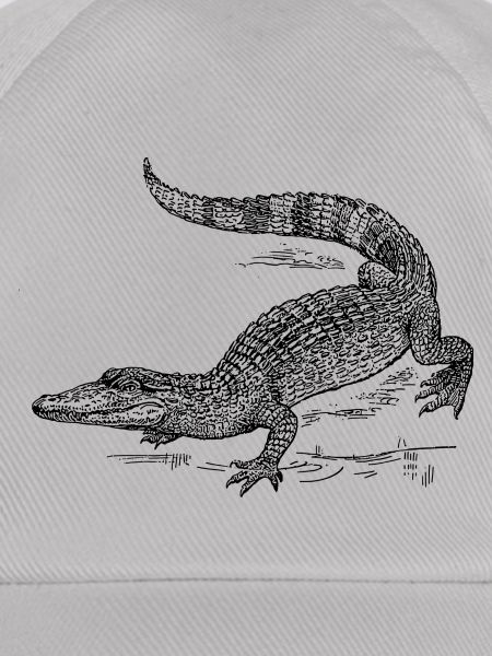 kroko 58