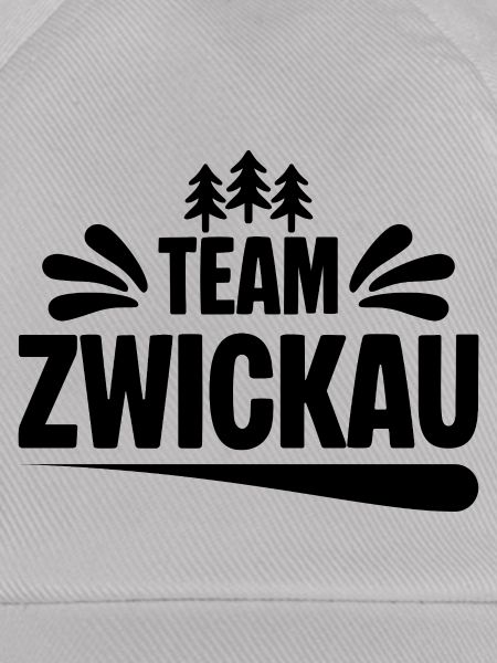 Team Zwickau