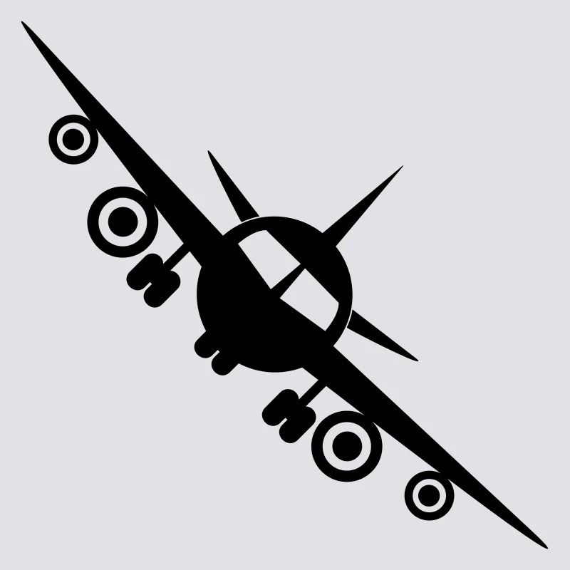 Fly a plane
