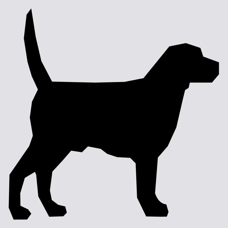Hund