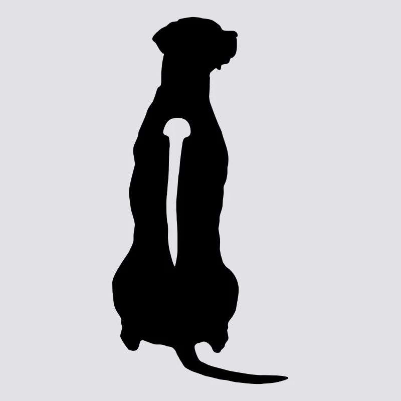 Rhodesian Ridgeback Back
