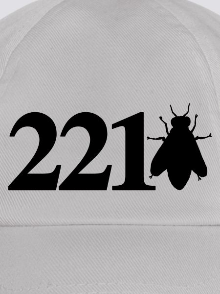 sherlock_221bee