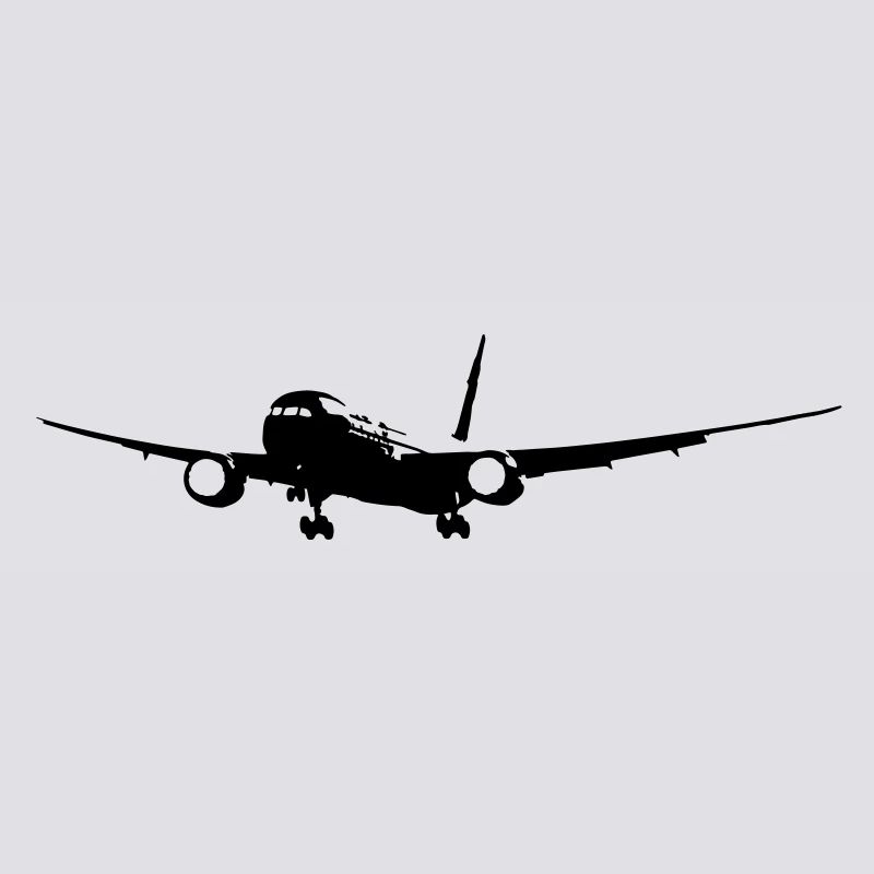 B-787 Flugzeug