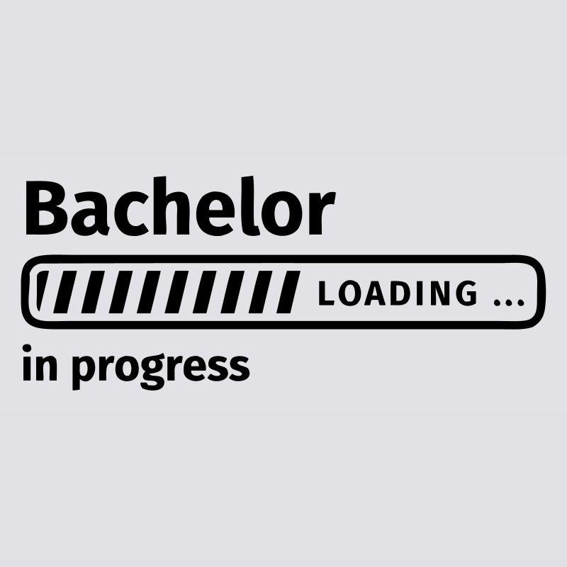 Bachelor in Progress