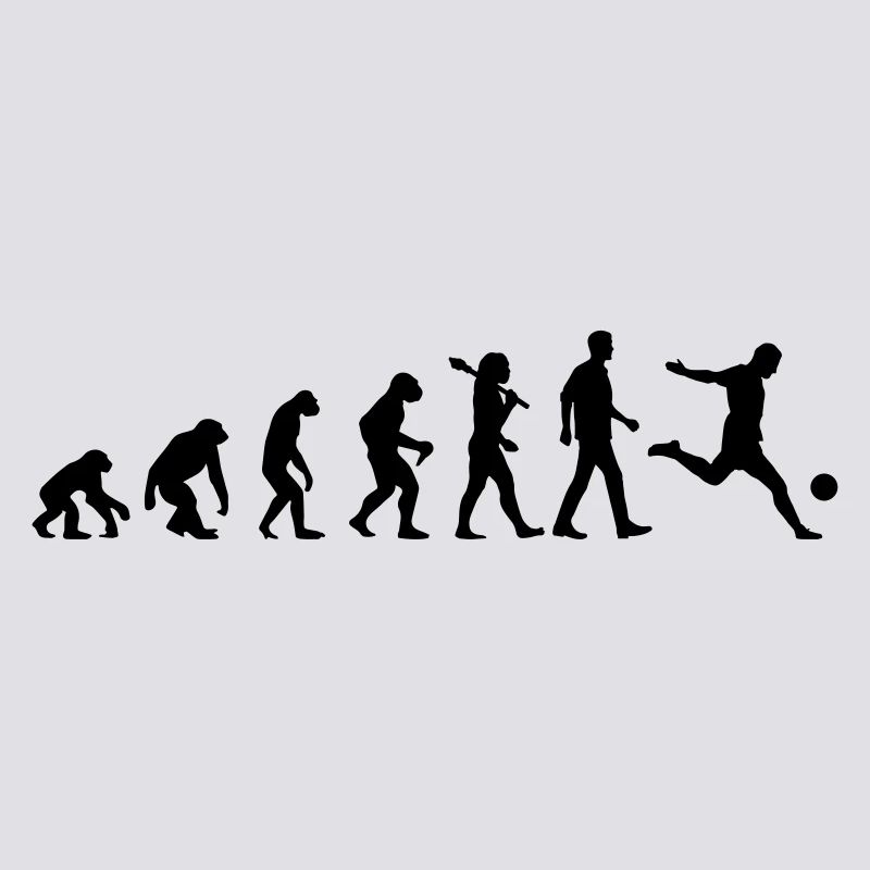 Evolution of Soccer