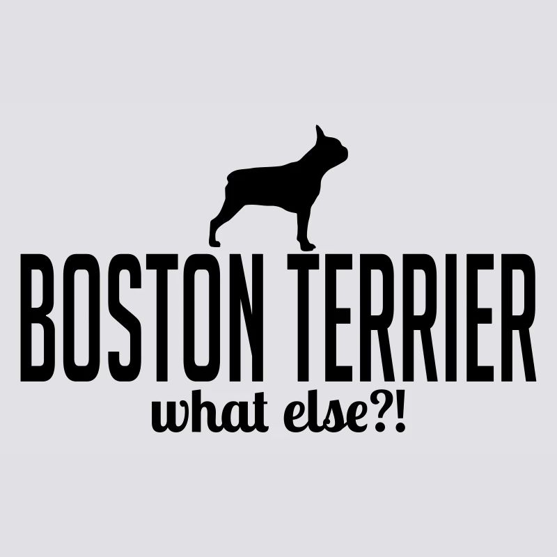 BOSTON TERRIER what else