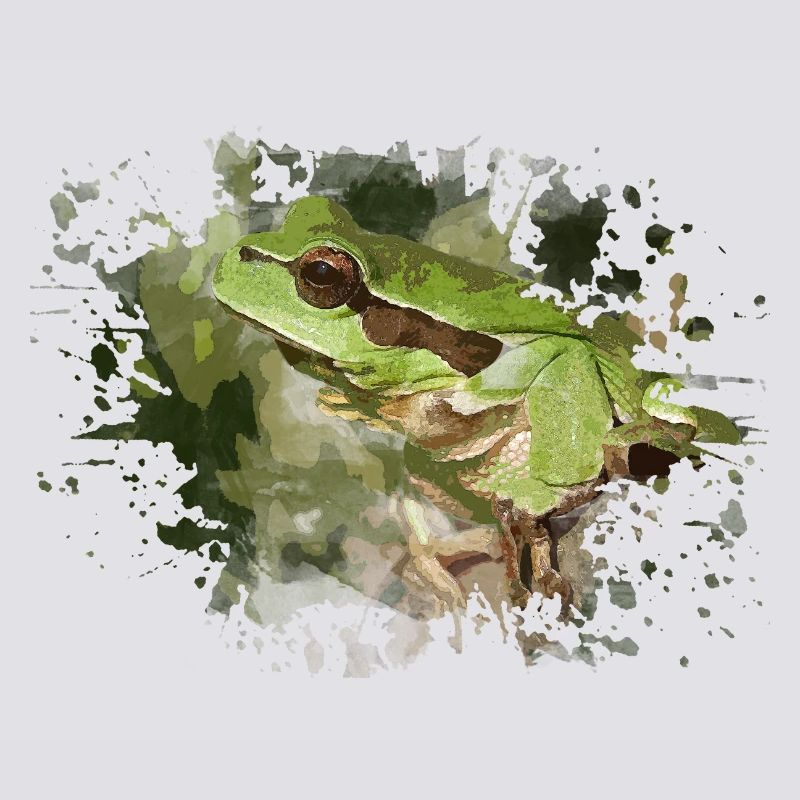 Frosch