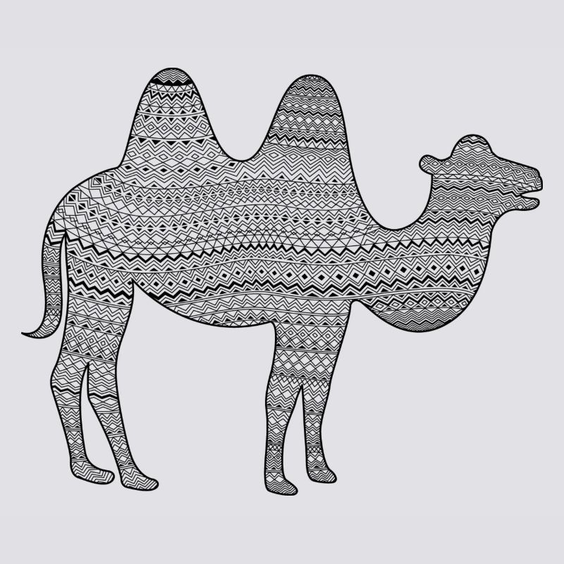 kamel