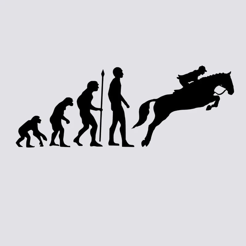 Reiterin Evolution Springreiten Pferde