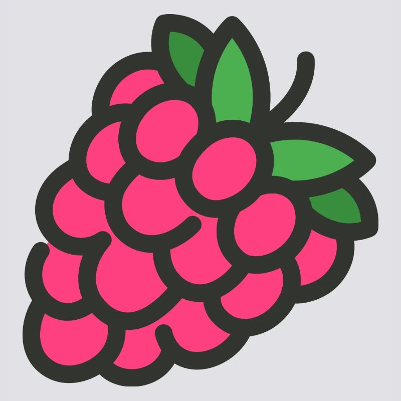 raspberry rasperry fruit veggie vegetables fruits14