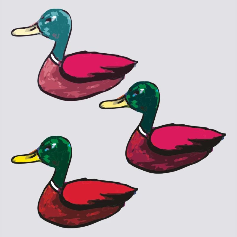 Enten dreierpack