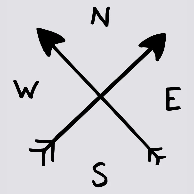 compass needle