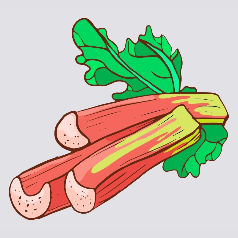 Rhubarbe commun Krauser