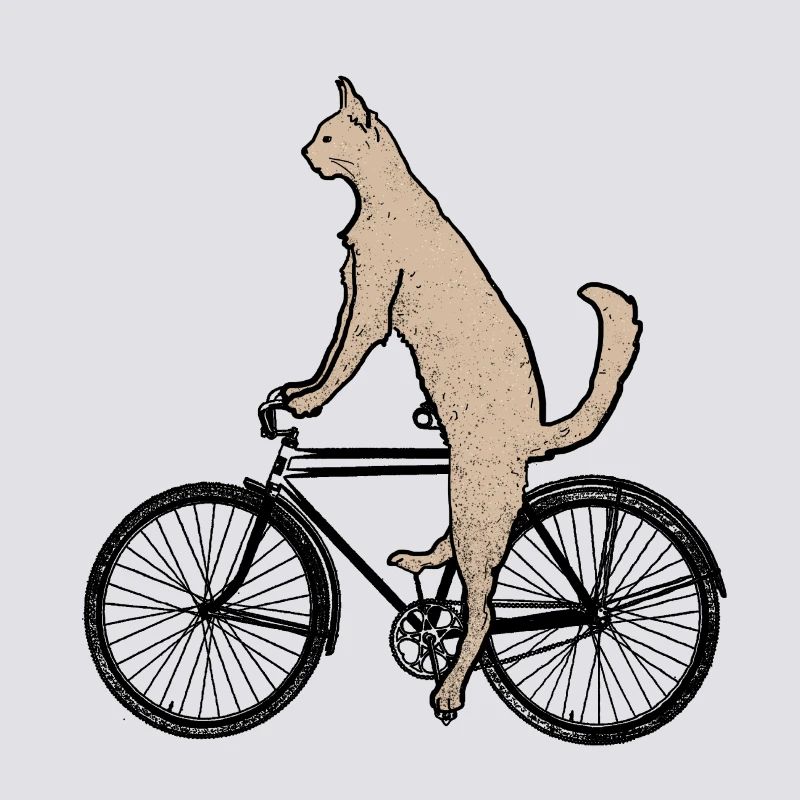 Chat sur le vélo