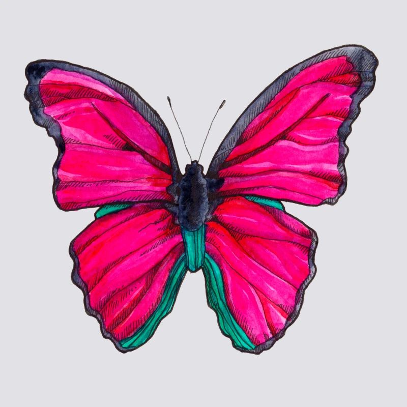 Pinker Schmetterling